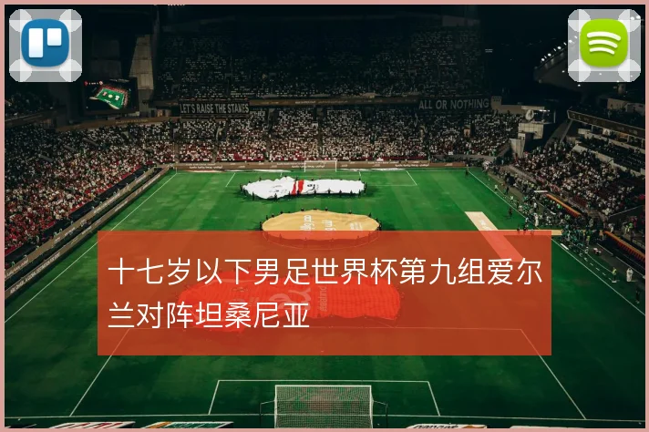 十七岁以下男足世界杯第九组爱尔兰对阵坦桑尼亚