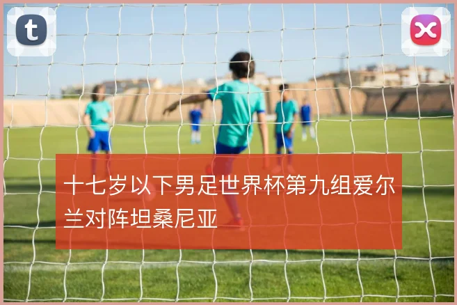 十七岁以下男足世界杯第九组爱尔兰对阵坦桑尼亚