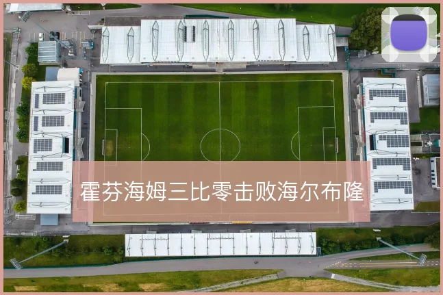 霍芬海姆三比零击败海尔布隆