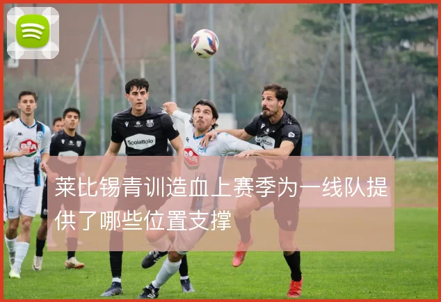 莱比锡青训造血上赛季为一线队提供了哪些位置支撑