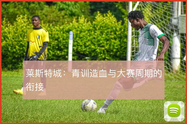 莱斯特城：青训造血与大赛周期的衔接